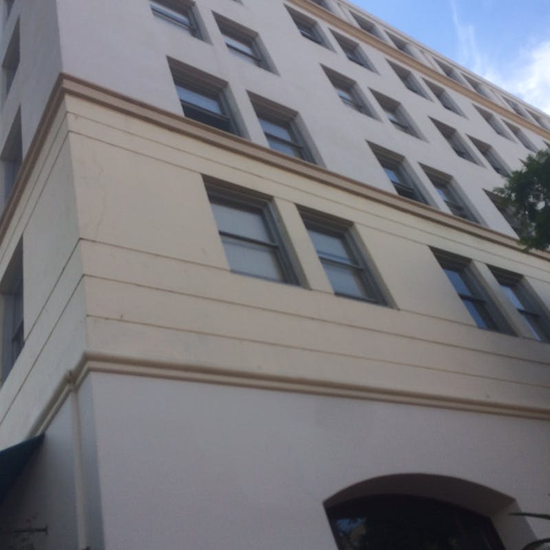 Budgie Training Basics: Teach Your Parakeet Cool Tricks